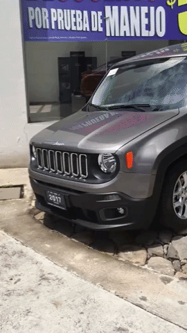 frvnciscxvazquez empresa automotriz toluca GIF