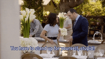 stand up for yourself selina meyer GIF by Veep HBO