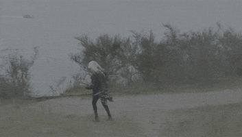 rocking out hardly art GIF by Chastity Belt