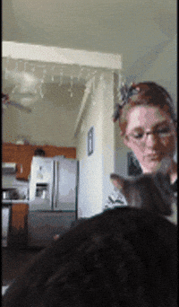 catmanian cats who are warmingly welcomming their humans GIF