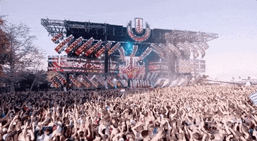 raise your hands dance GIF by Ultra Music Festival