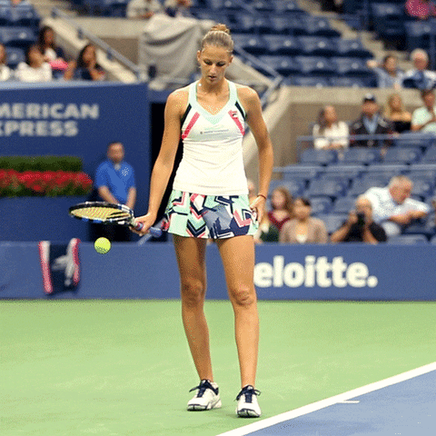 Karolina Pliskova Ball GIF by US Open