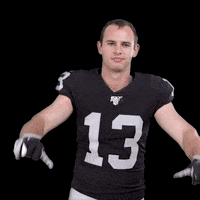 Oakland Raiders No GIF by NFL