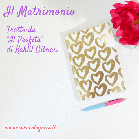 saracolognesi amore libro psicologia matrimonio GIF