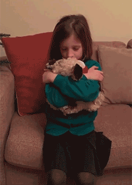 barroco surprise GIF