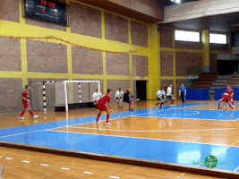 dinodusak field hockey indoor hockey croatian championship GIF