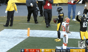 Pittsburgh Steelers Dancing GIF by NFL