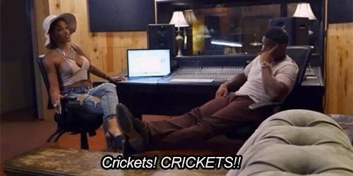 Love And Hip Hop Crickets GIF by VH1