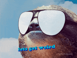 Sloth Lets Get Weird GIF by Justin