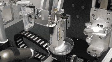 qore  GIF