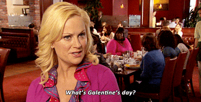 Parks And Rec Happy Galentines Day GIF by Amy Poehler's Smart Girls