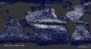hmmm ocean map garbage garbage patch GIF