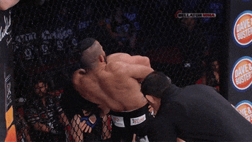 fight tapping GIF by Bellator