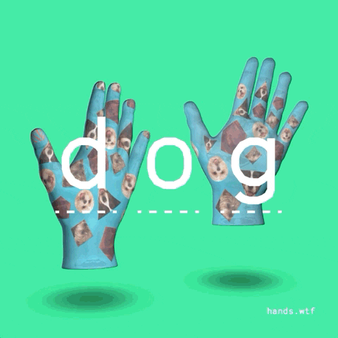 dog GIF by hands.wtf
