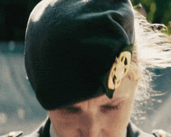 Veteranendag GIF