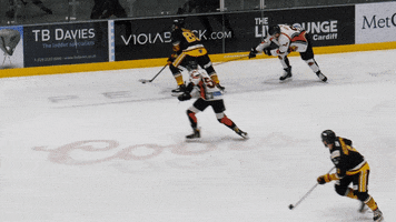 Ice Hockey Hit GIF by Cardiff Fire