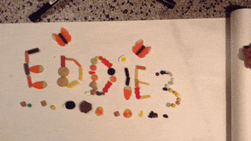bisi  GIF