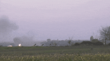 annalisichkina  GIF