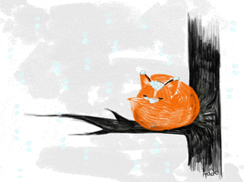 animation fox GIF by Ana Caro
