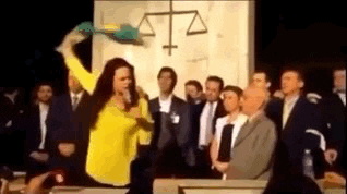 rtms1988 bandeira janaÃ­na paschoal janaÃƒÂ­na paschoal rodando a bandeira GIF