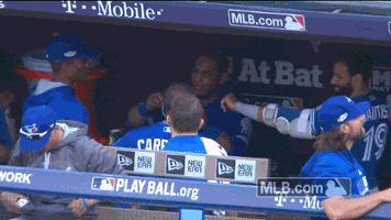 Toronto Blue Jays Deal With It GIF by MLB