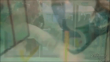 Real Mermaid GIF
