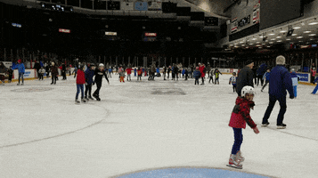 hockey skate GIF by Ottawa 67's
