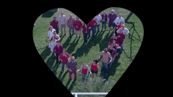 Sign Language Asl GIF