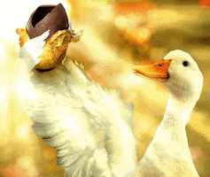 chocolate candy GIF by Aflac Duck