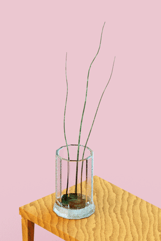 Animation Grow GIF