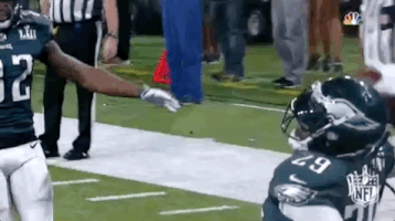 super bowl lii football GIF by NFL
