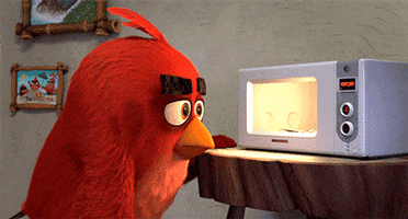 Hungry Movie GIF by Angry Birds