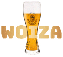Beer Cheers Sticker by Meckatzer