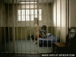 jail GIF