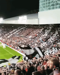 Newcastle Fans Wave Flags Before Champions League Homecoming Match