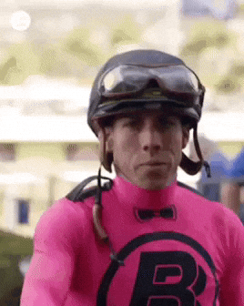 GIF by World Horse Racing