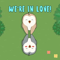 Valentines Day Love GIF by Pudgy Penguins