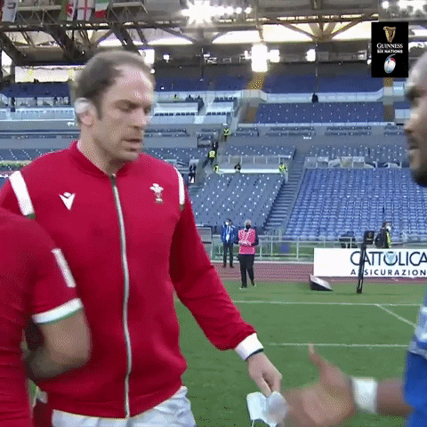 Wales Rugby GIF by Guinness Six Nations