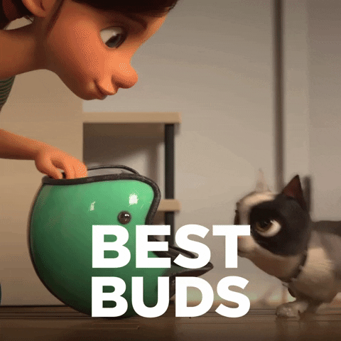 Stick Together Best Friends GIF by Hill's Pet Nutrition