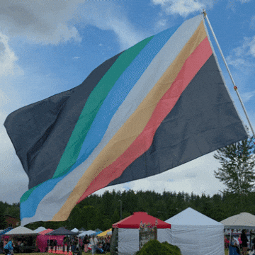 Pride Flag GIF by AceArchive
