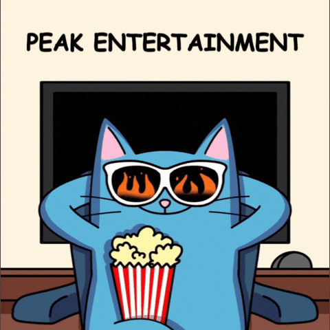 Looking On Blue Cat GIF