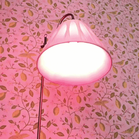 Flash GIF