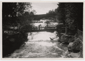 Water River GIF by Kathryn A. Martin Library