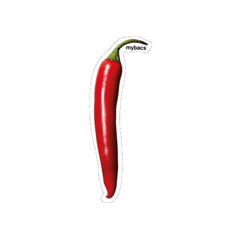 Red Chili Sticker by mybacs