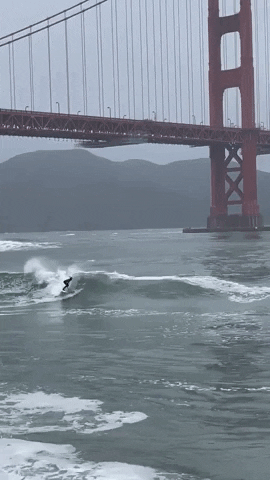 San Francisco Water GIF by Storyful