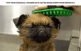 GIF by The Financial Gym