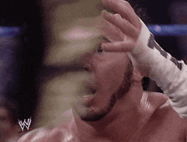 oh no what GIF by WWE