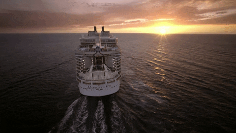 Royal Caribbean GIFs - Get the best GIF on GIPHY