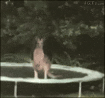 200.gif