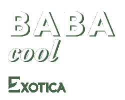 Loveyoudad Baba Cool Sticker by Exotica